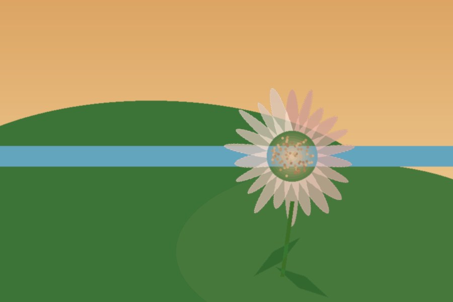 King Protea in bloom against the fynbos hillside backdrop with Langebaan Lagoon visible in the distance